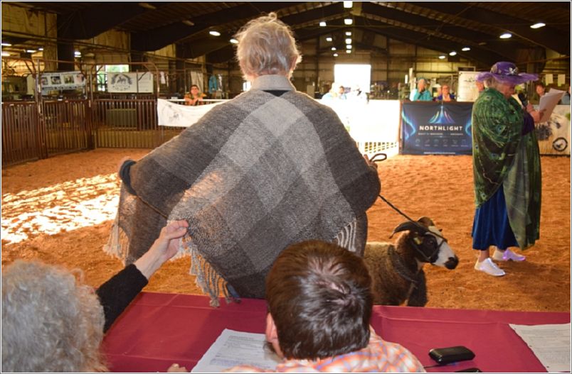 Robin Lynde models her v-shawl; she used a double weave to create two layers that are joined in the back during the weaving process. Sparky is wearing a handwoven scarf. Photo: Peggy Lundquist.